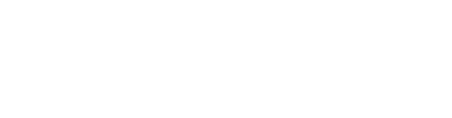 The Hopkins Institute