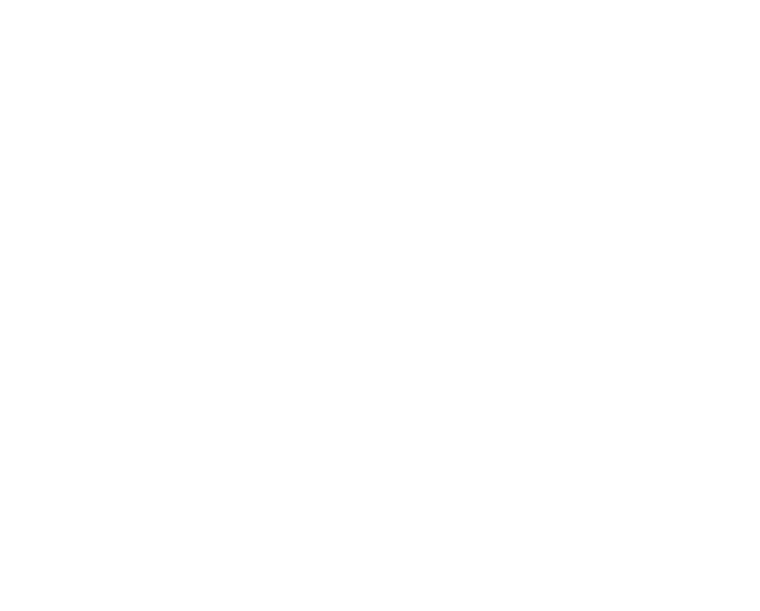 The Hopkins Institute